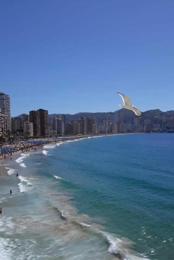 San Remo Levante Beach Apartments Бенидорм Экстерьер фото